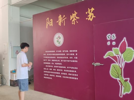 图片1.jpg 图片1.jpg