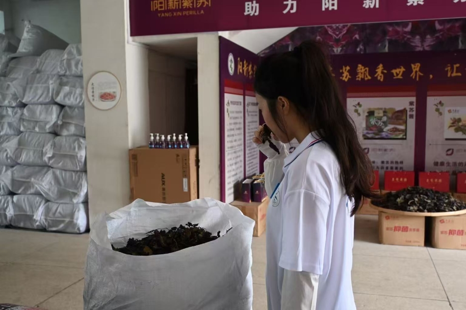 微信图片_20250726194318.jpg