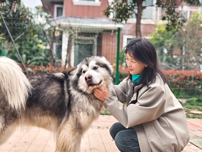 “青心系萌宠，志愿暖同行”——管理学院青年志愿者开展流浪动物关爱志愿服务活动